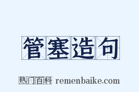 管塞造句是什么意思的图片